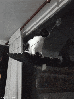 Umeraczyk - Jak w kreskówce