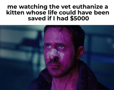 malyatakpaniki - To ja ponad 2 lata temu. Nie u weta, a w domu. Kici coś się stało, a...