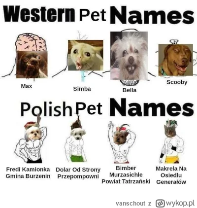 vanschout - ( ͡°( ͡° ͜ʖ( ͡° ͜ʖ ͡°)ʖ ͡°) ͡°)

#polska #heheszki #humorobrazkowy #zwier...