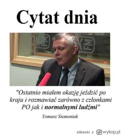 alibaski - Wy jesteście normalni czy z PO? ( ͡° ͜ʖ ͡°) #polityka