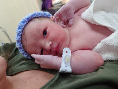 sorek - Leon zawodowiec czyli kolejny mireczek na tym świecie ( ͡°( ͡° ͜ʖ( ͡° ͜ʖ ͡°)ʖ...