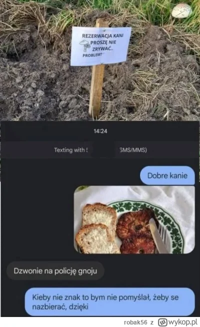 robak56 - Sezon w pełni
#bekazpodludzi #heheszki #polska