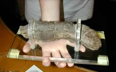 b.....7 - @conamirko: