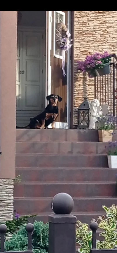 MakiawelicznyAltruista - Co przegrywy? Machacie ciężarami w pocie czoła i chcielibyśc...