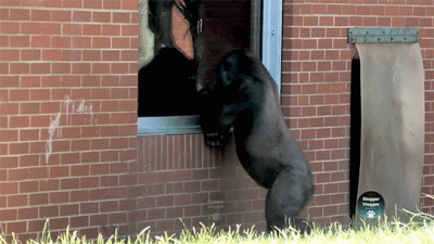 wfyokyga - Widze cię dupcia, fajne majty