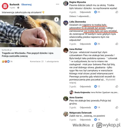 WielkiNos - Pies rzucił się na mężczyznę i dziecko. Policjanci zastrzelili psa żeby n...