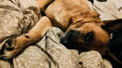 Wo0cash - To będzie trochę #zalesie, ale po prostu coś we mnie pękło, i ryczę jak bab...