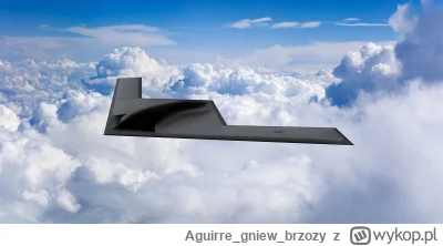 Aguirregniewbrzozy - @ntdc: a to nie b21 Raider ?