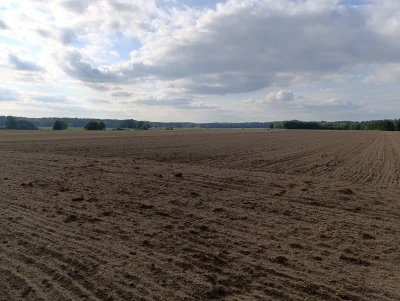 ryoku88 - #przegryw ja nigdy nie miał kobiety co by mnie z domu wypuszczała z pełnym ...