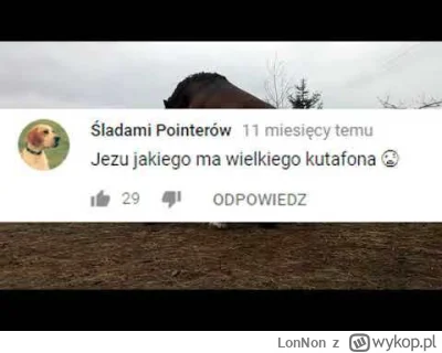 L.....n - @yupitr: @essa121 @Mlody_jeczmien @mysliciel-z-internetu 

Koniary lubią s-...