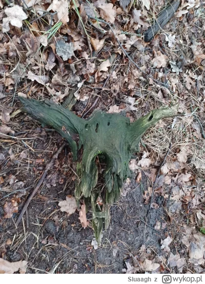Sluaagh - Se znalazłam taki patyk to robi bamboozle na fajną czachę . A już myślałam ...