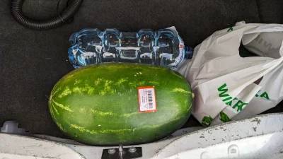 krucjan - Ale dzisiaj gnoja dorwałem.
#jedzzkrucjanem #arbuz