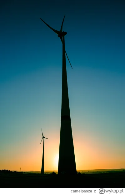camelpasza - wiatrak #11