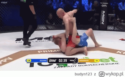 budyn123 - Przypominam złoto #primemma