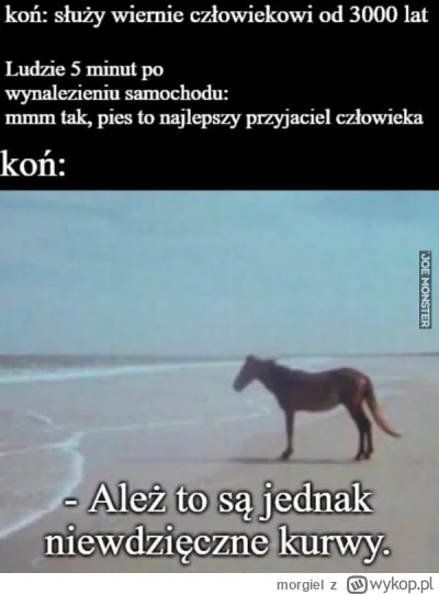 morgiel - #historycznememy #heheszki #humorobrazkowy