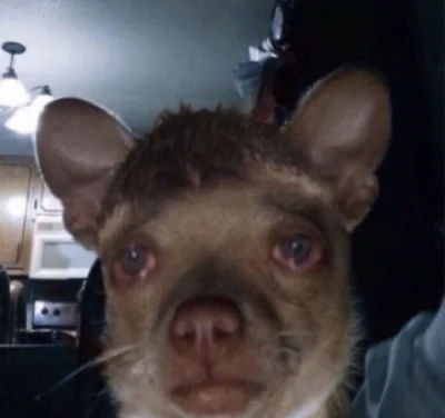 ikimrdbeietocytynal - #przegryw 
ale plecy bolo