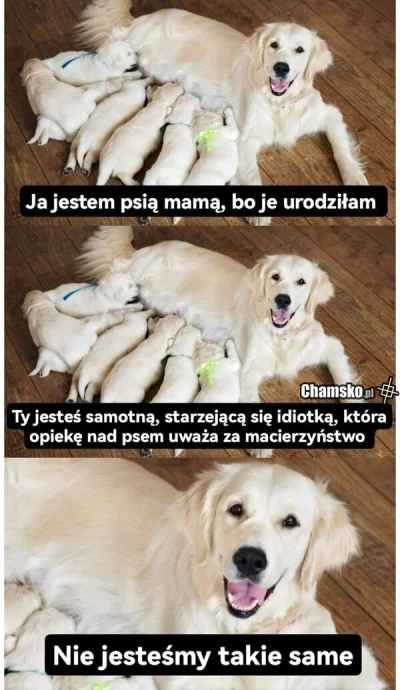 void0 - @ROTTEN: ( ͡° ͜ʖ ͡°)