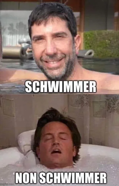 Swierzop_Bursztynowy - #czarnyhumor