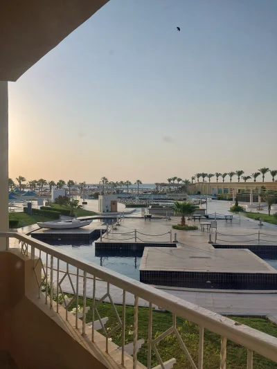 KwintoTVN - #bonzo #belchatow #egipt Taki mam widok z okna widzowie, pojawia się słon...