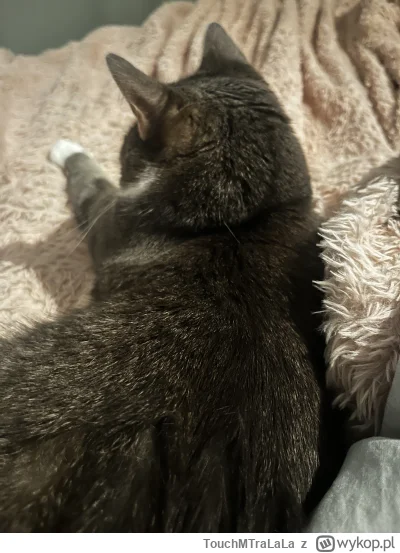 TouchMTraLaLa - @annlupin: kocyk pociumkany, można iść spać
