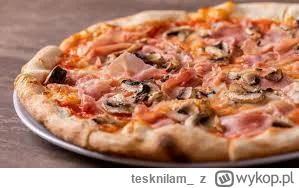 tesknilam_ - Pizza to najlepszy fastfood. #oswiadczenie #jedzenie