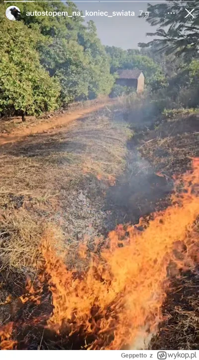 Geppetto - #raportzpanstwasrodka onuca robi porządki wokół domku na kurzej stopce w K...