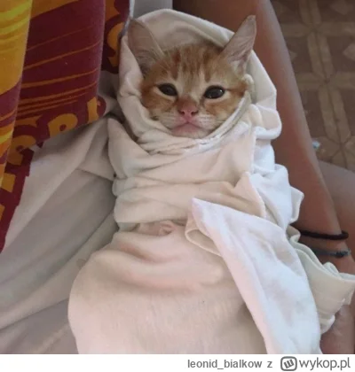 leonid_bialkow - @wfyokyga: cze dla ciebie
