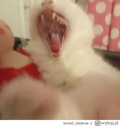 leonid_bialkow - AAAAAAAAAAAAAAAAAAAAAAAAAAAAAAAAAAAAAAAAAAA