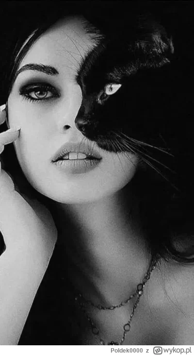 Poldek0000 - #slodkijezu i jeszcze #koty