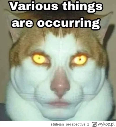 stulejan_perspective