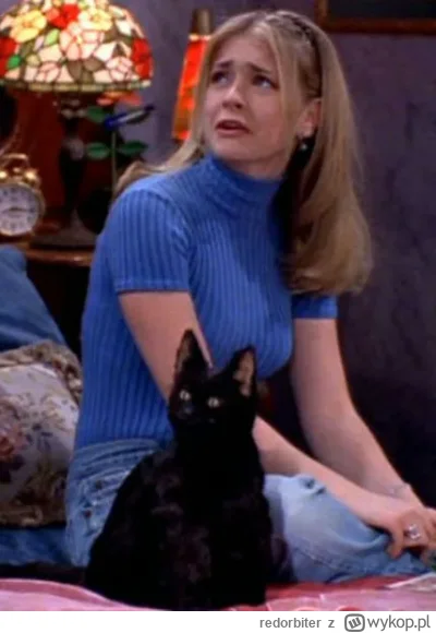 redorbiter - @serniczekwiedensky: za moich czasow tak wygladala Sabrina