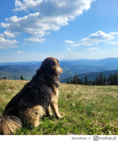 booolooo - Czilera w te majówkę. 
#pokazpsa #gory