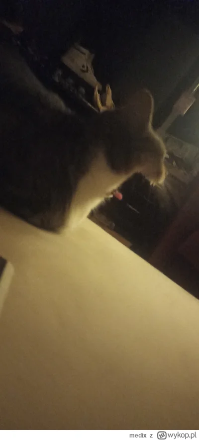 medix - @PietrekBoski o drugi kotik se ziew robi ehh