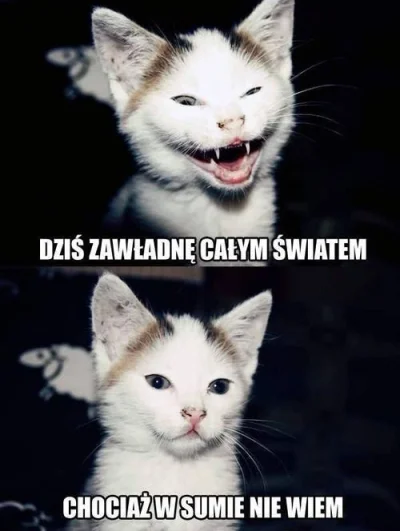 krytyk1205 - @GBpromo: zdjęcie z kategorii