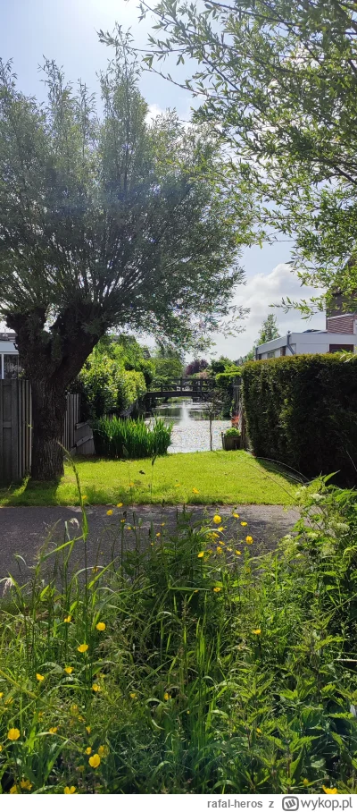 rafal-heros - @niecodziennyszczon:  zgadzam się. W Holandii dzięki tym ogrodom, kanał...