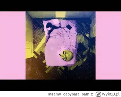 steamycapybarabath - @Vanlid: Mam nadzieję, że nie to?