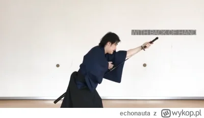 echonauta - @Mega_Smieszek 
Na YouTube jest całkiem sporo analiz jak w ogóle ten atak...