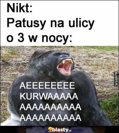 john-eek - #mecz 

Nikt:

prawaki przez cały mecz: