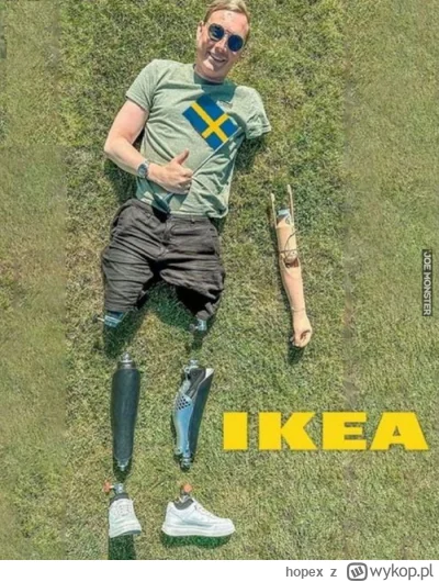 hopex - @ravau: Jest taki monter, od razu widać że jest z firmy IKEA