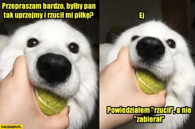 wybryk_natury - @ChissCake