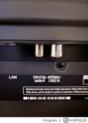 kongoku - @Ramone a czy to wejście po lewej nie ma w sobie zasilania?