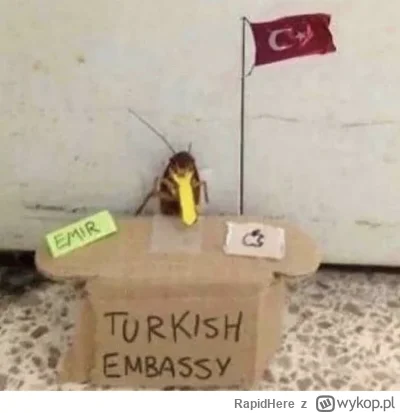 RapidHere - ( ͡° ͜ʖ ͡°) #mecz #heheszki #pilkanozna