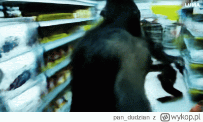 pan_dudzian - Tymczasem gdzieś w Walmarcie

#heheszki #humorobrazkowy #czarnyhumor