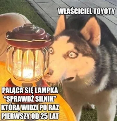 goferek - #heheszki #motoryzacja #samochody