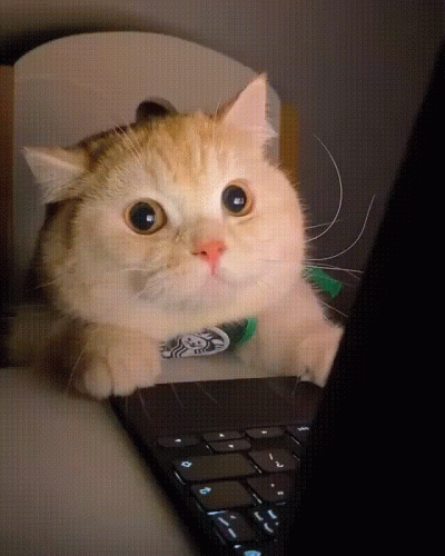 MichalCoSieWPorySkichal