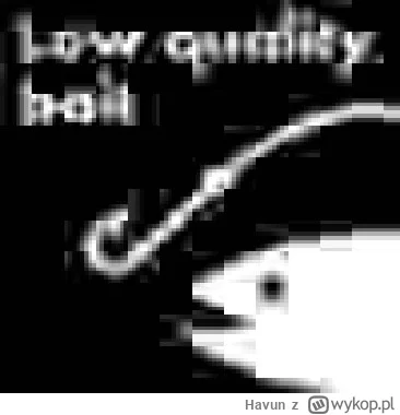 Havun - @technojezus: