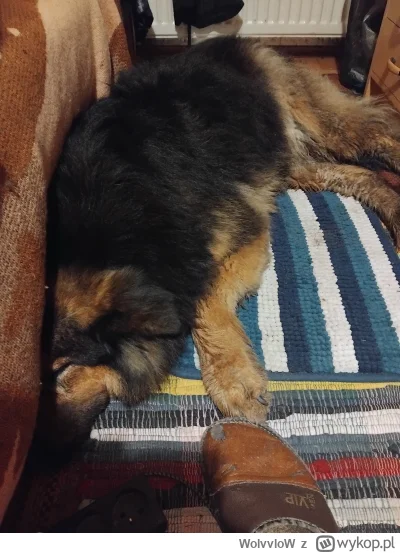 WolvvloW - @repro5 mam dopisać  #heheszki? @User_X