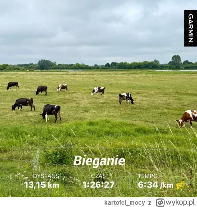 kartofel_mocy - 22 436,56 - 8,05 - 7,03 - 13,15 = 22 408,33

W tym tygodniu nie było ...