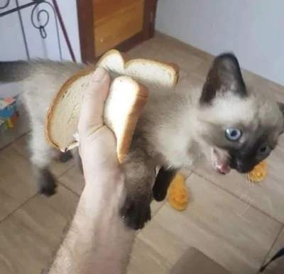 wfyokyga - Dla cb papu na śniadanie