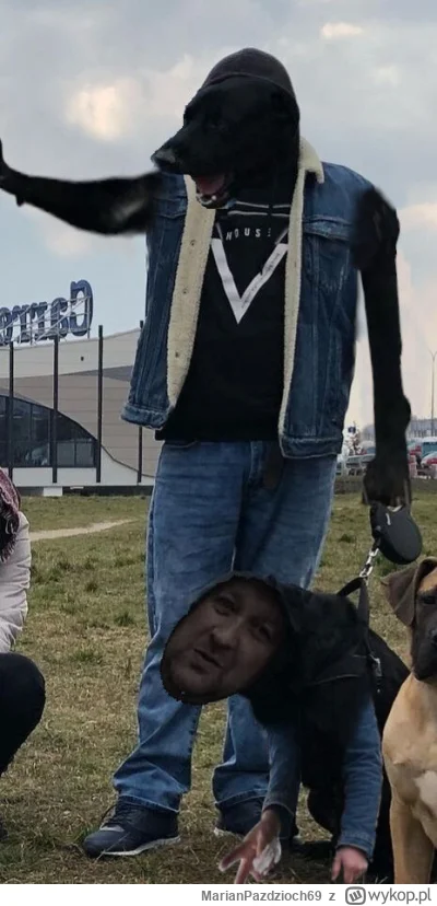 MarianPazdzioch69 - Najwierniejszy pies w uniwersum co pan mu każe to zrobi ( ͡º ͜ʖ͡º...
